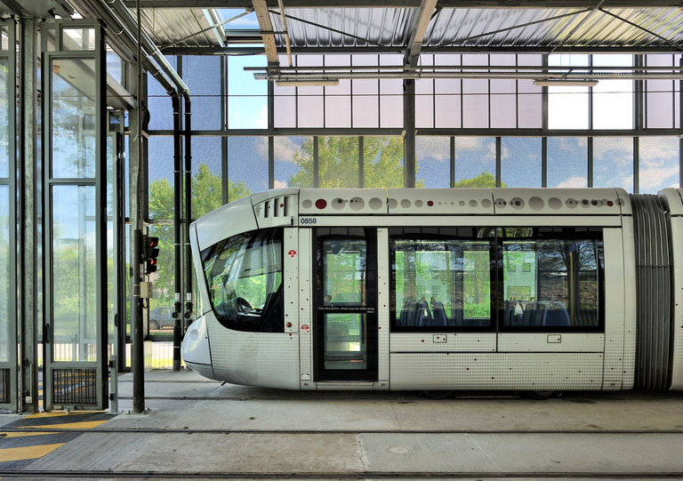 drlw - _7008858.jpg