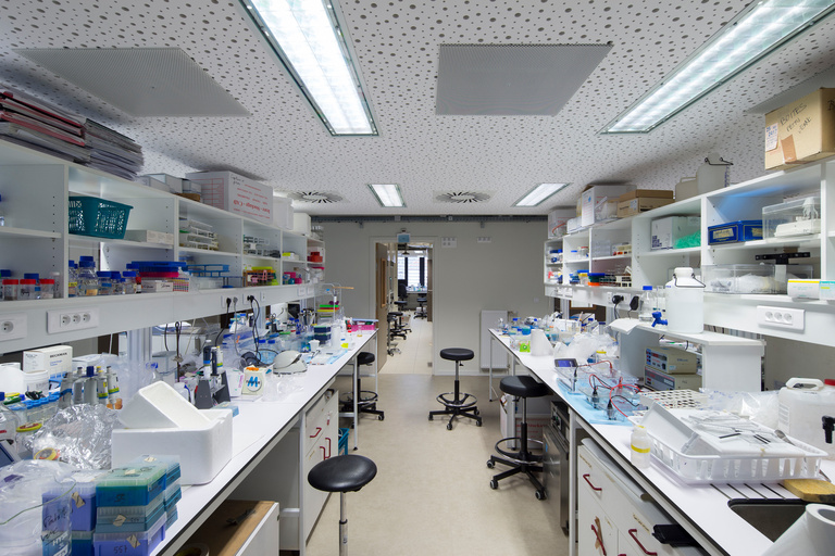 drlw - XB-DRLW-2015_10-CNRS_IBMP-Strasbourg-14.jpg