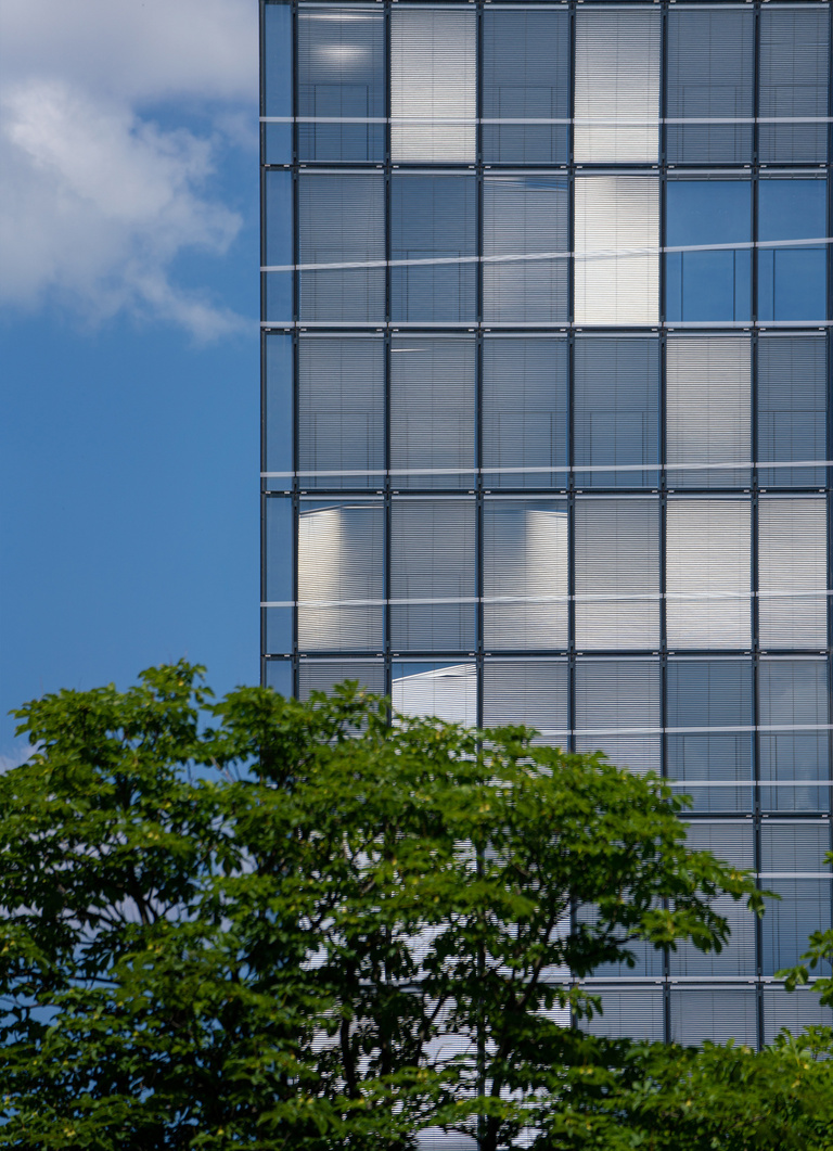 drlw - esca-modif1.jpg