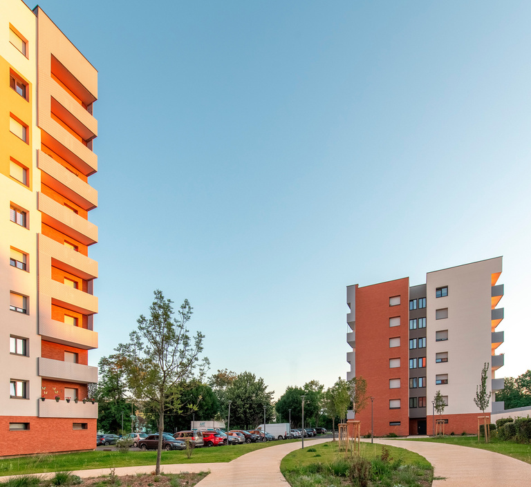 drlw - 3_2364_MOLSHEIM_142-LGMTS_web.jpg