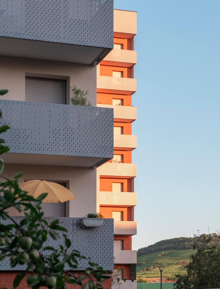 drlw - 4_2364_MOLSHEIM_142-LGMTS_web.jpg