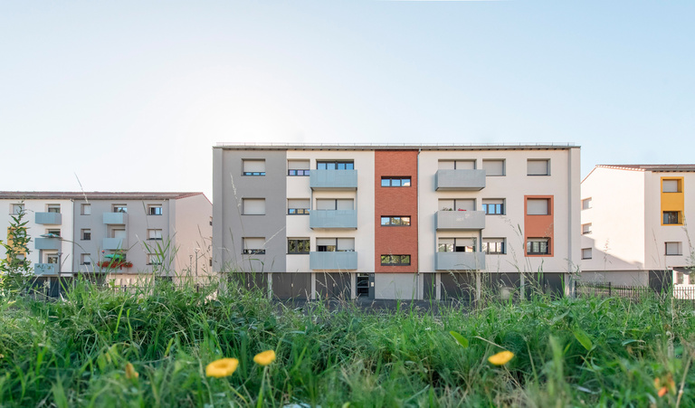 drlw - 6_2364_MOLSHEIM_142-LGMTS_web.jpg