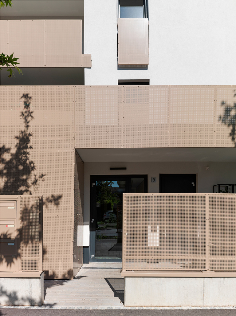 drlw - B_04605.jpg