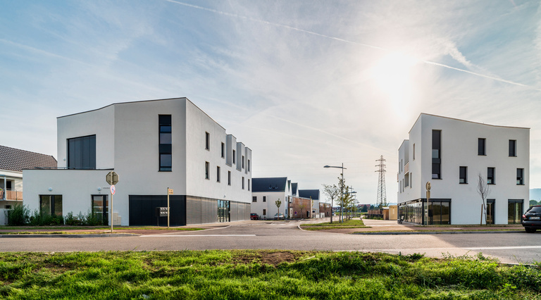 drlw - coquelicots retouche.jpg