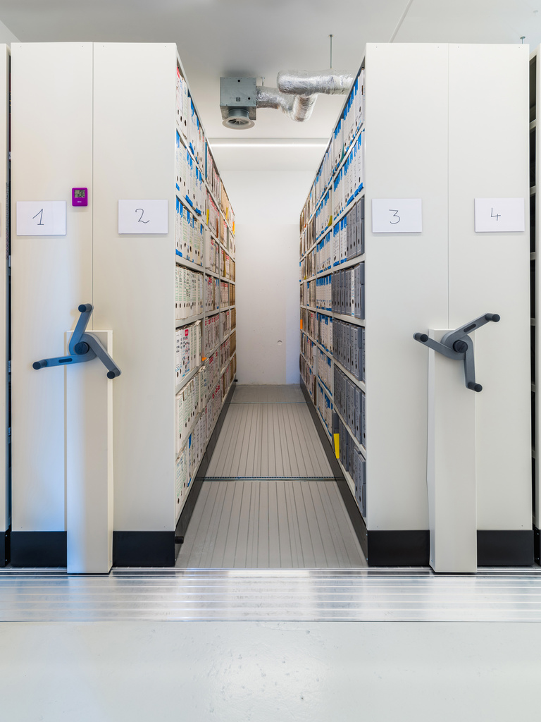 drlw - B0026573_recadré.jpg