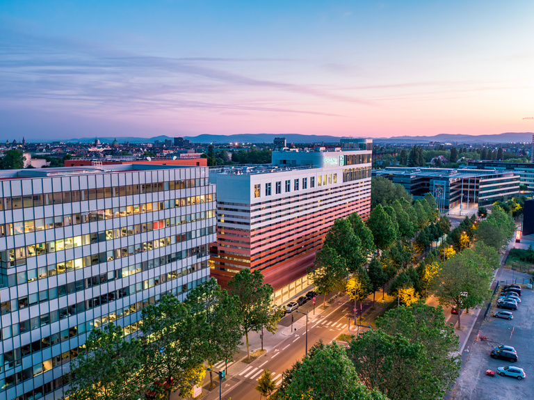 drlw - 06_drlw_wacken_WACKEN_©CloudyProd.jpg