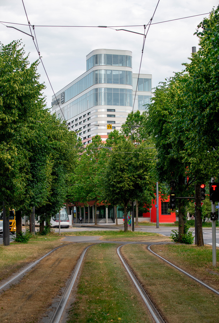 drlw - 10_DRLW-KK_STRAS_WACKEN_©David Romero-Uzeda.jpg