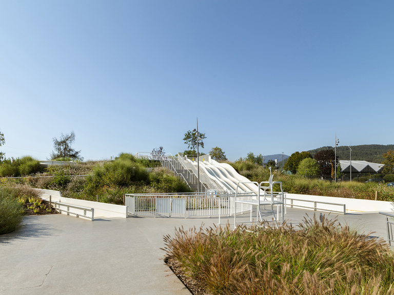 drlw - B0038685.jpg