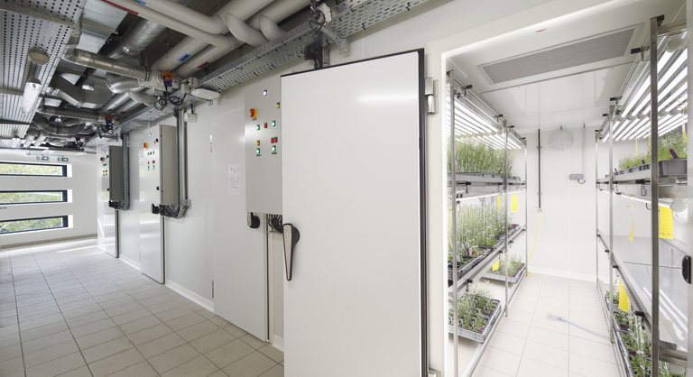 drlw - XB-DRLW-2015_10-CNRS_IBMP-Strasbourg-11.jpg