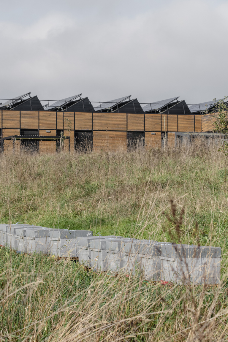 drlw - 8_2016_Manufacture_HD.jpg