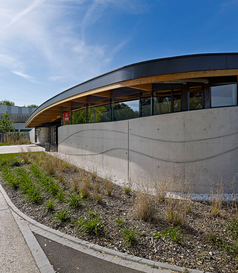 drlw - DRLW-mon- 3.jpg