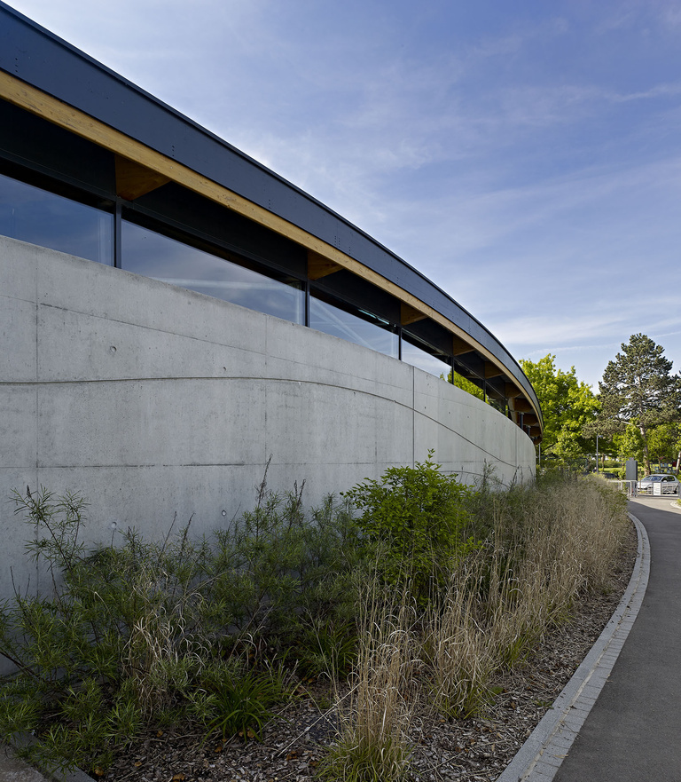 drlw - DRLW-mon- 4.jpg