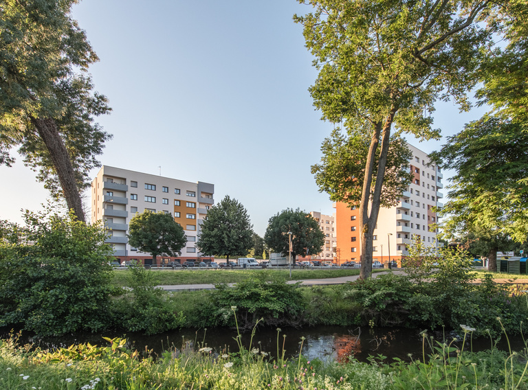 drlw - 5_2364_MOLSHEIM_142-LGMTS_web.jpg