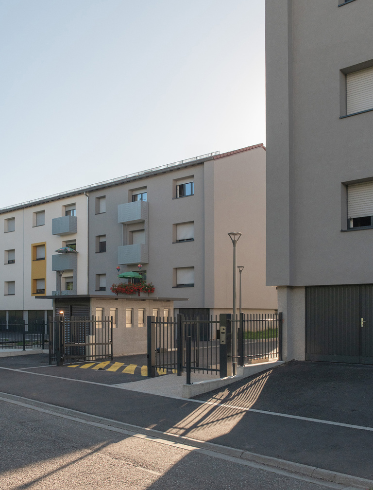 drlw - 20_2364_MOLSHEIM_142-LGMTS_copie_web.jpg