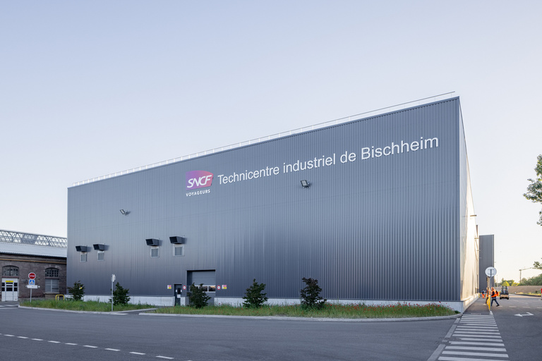 drlw - 02_DRLW_TI.jpg