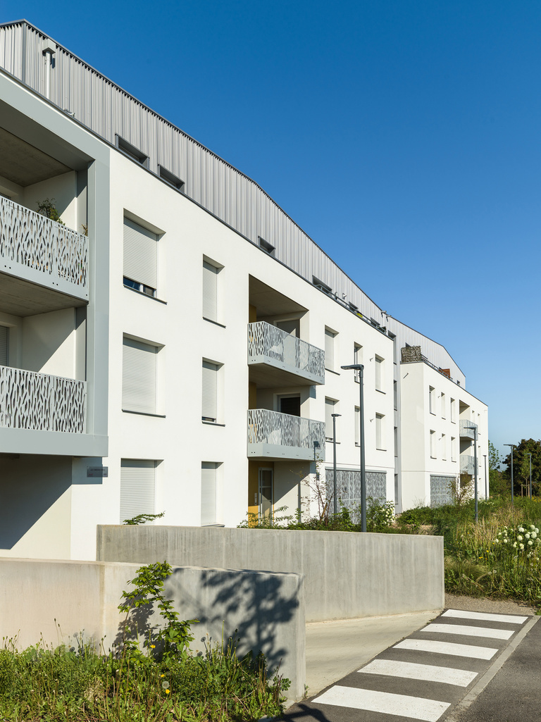 drlw - B_25948_RET.jpg