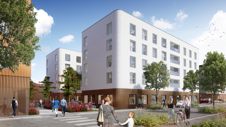 drlw - VUE_DRLW_MB.jpg