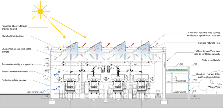 drlw - COUPE BIO.jpg
