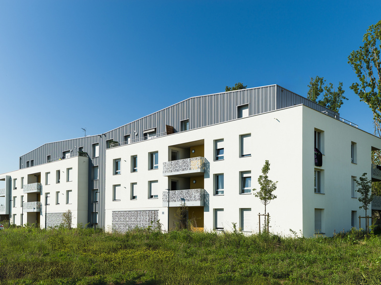 drlw - Les Jardins d'Iris